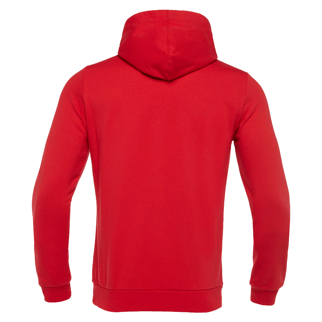 BANJO HERO hoody rot